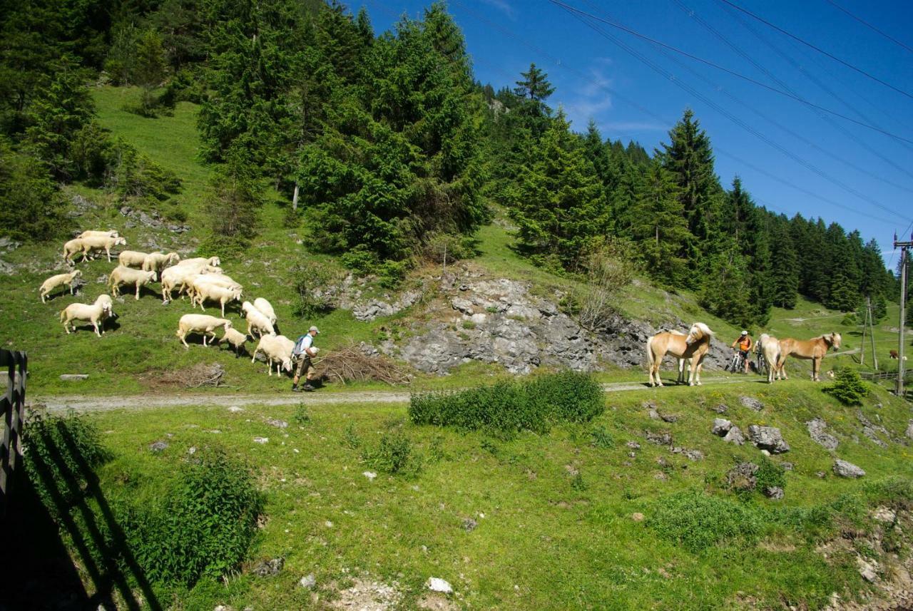 Haus Kohlberghof Hotell Bichlbach Exteriör bild